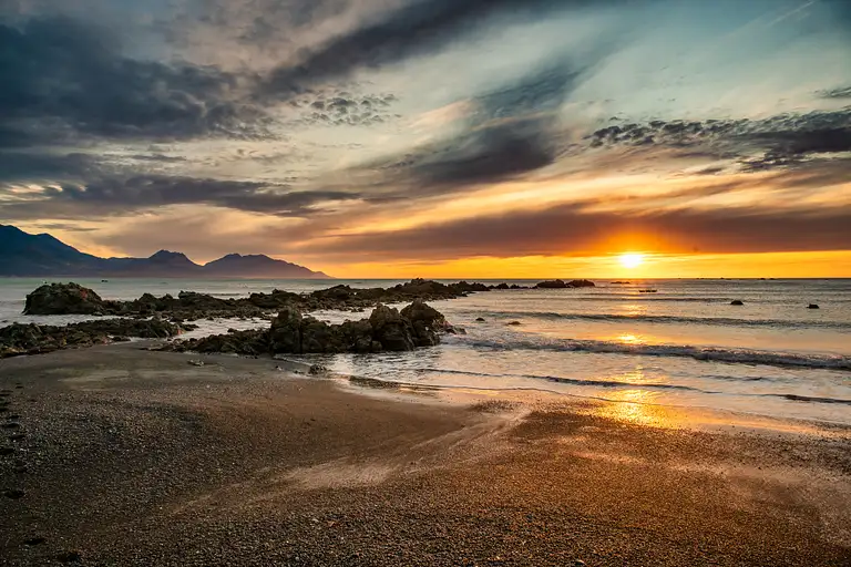 Kaikoura Tour