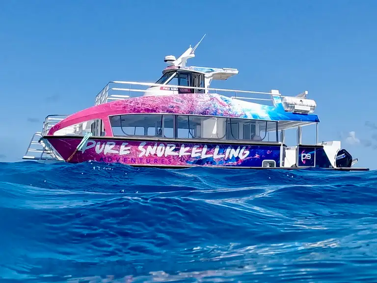 Pure Snorkelling