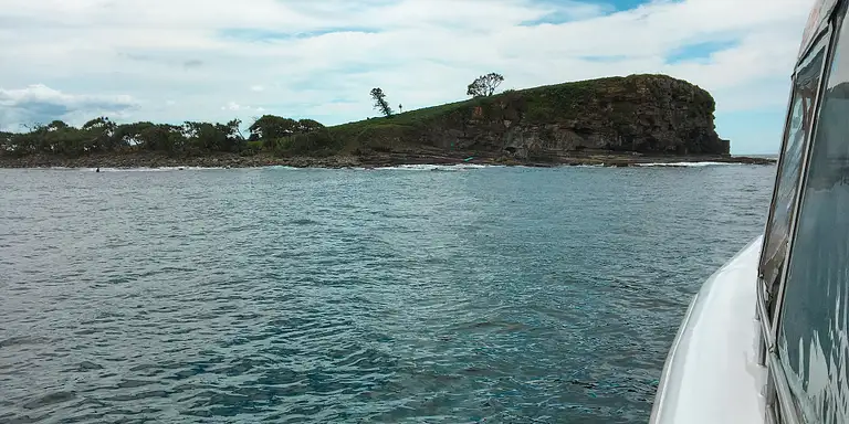 Sunshine Coast Reef Diving