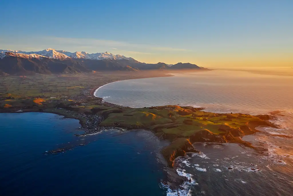 cheap whale watching new zealand