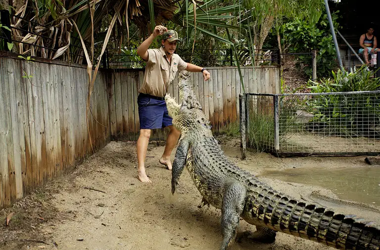 Big Croc Feed at Hartley's Crocodile Adventures Deals