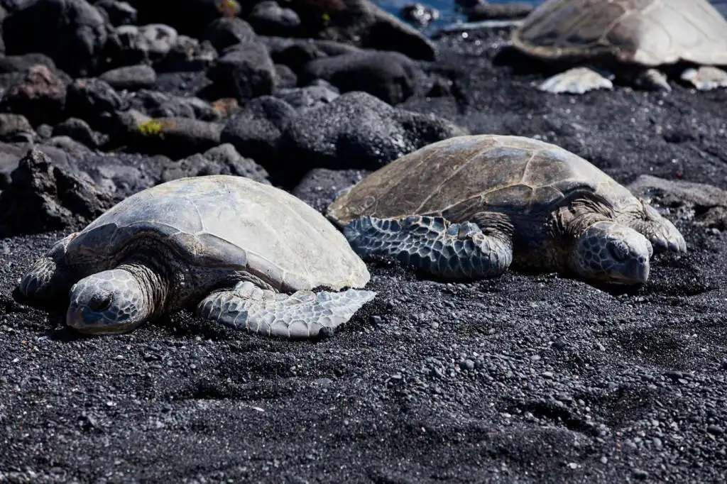 Big Island Grand Circle Island Tour