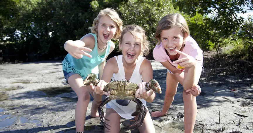 bush tucker and crab catching cruise