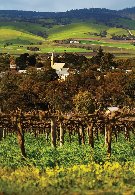 Adelaide tour deals