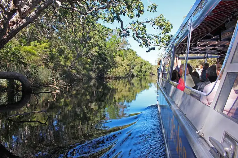 noosa eco safaris