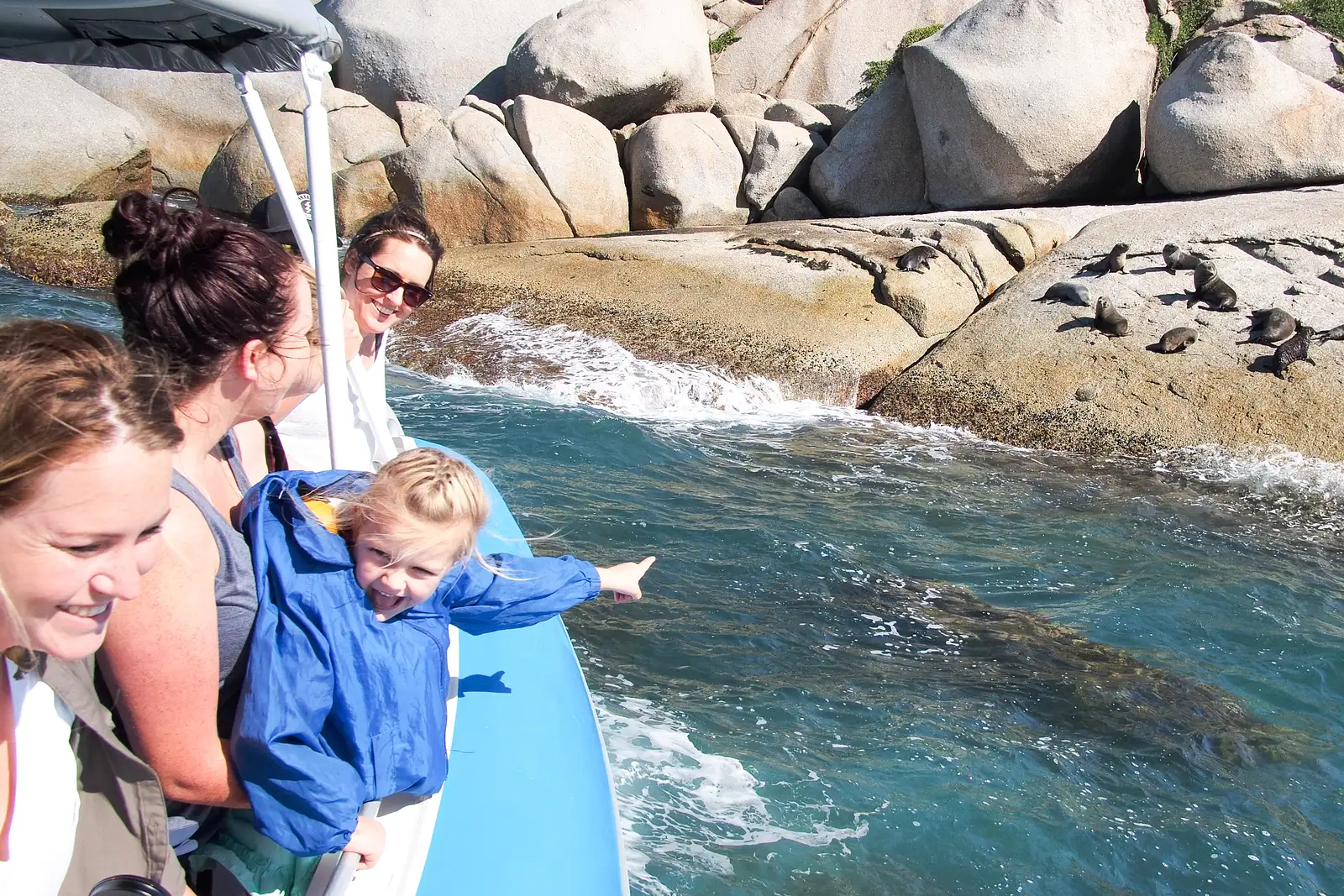 Seal Island Scenic Cruise