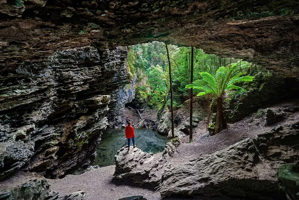 Best of Tasmania's Tarkine & Cradle Mountain