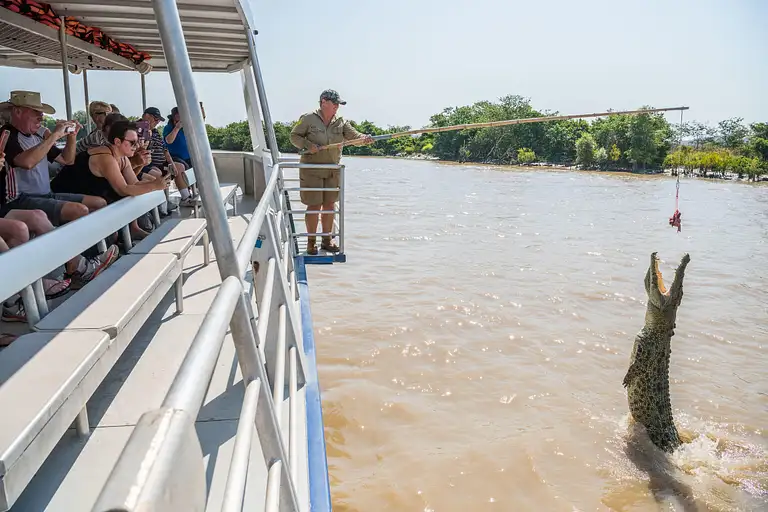 Jumping saltwater crocodile cruise