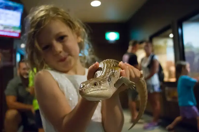 Darwin tours