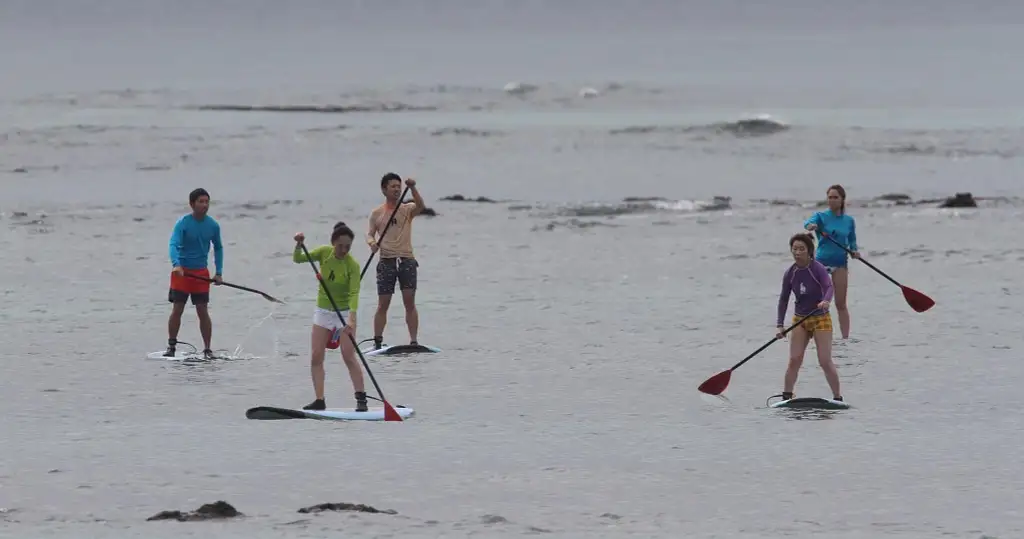sup lessons waikiki