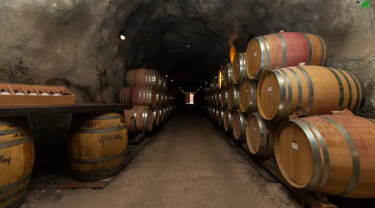 Central Otago wineries