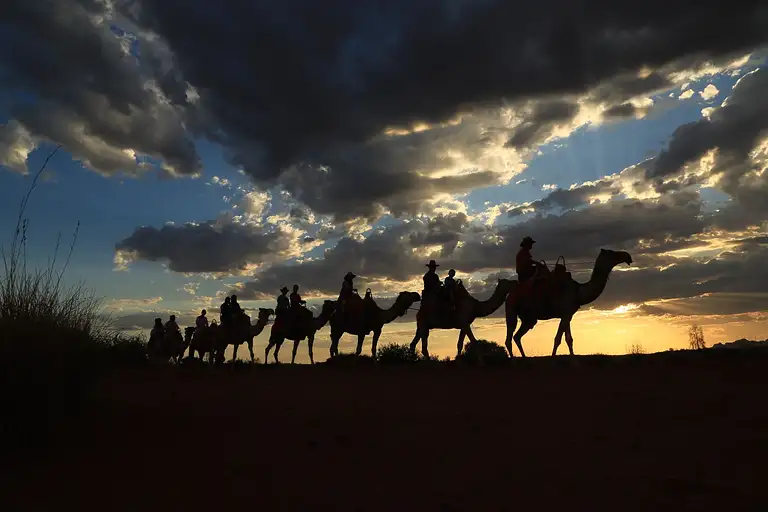 Uluru Camel Sunset