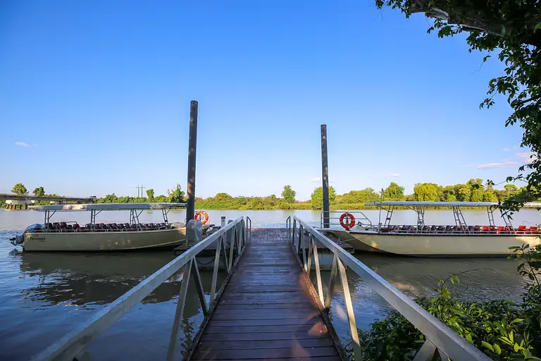 Jumping crocodile adventure cruise deal
