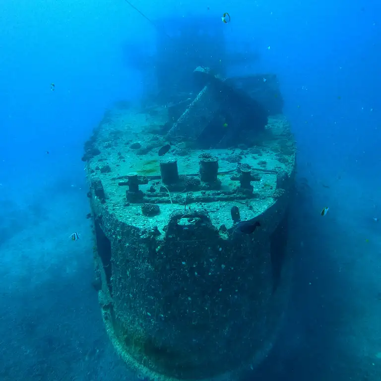 Wreck & Reef Dive Tour Deals