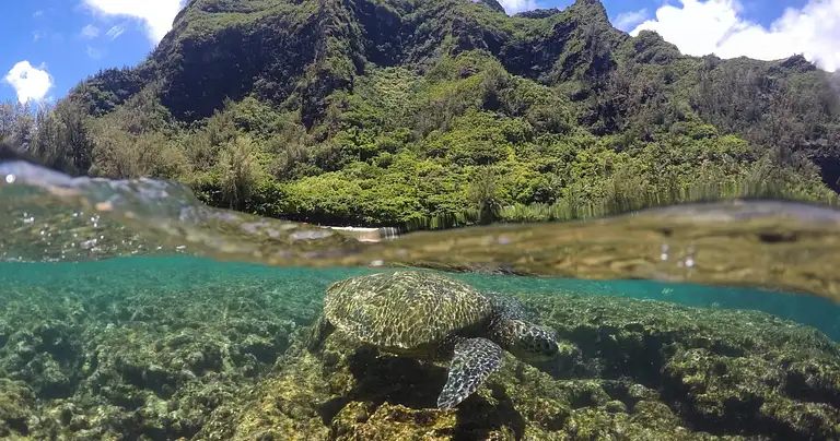 Afternoon NaPali Coast Super Raft Adventure deals