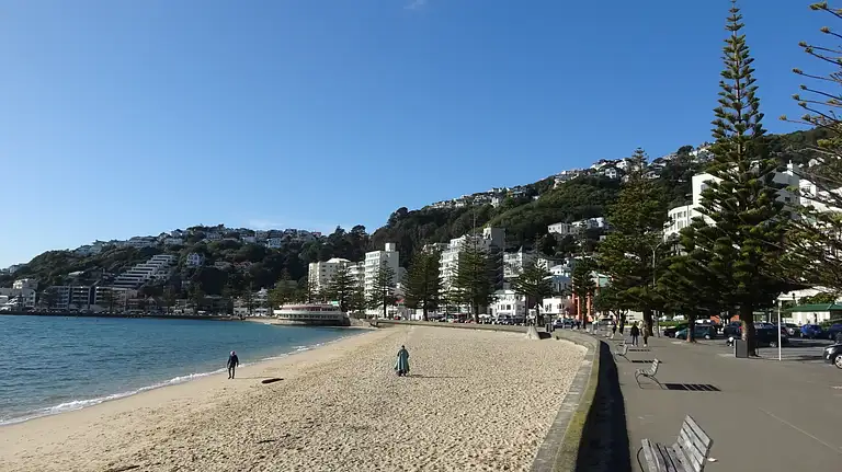 Mt Victoria Lookout Views on Discover Wellington Tour