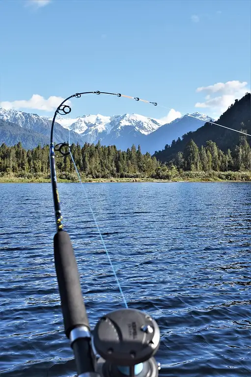 Franz Josef Fishing Charter Deals