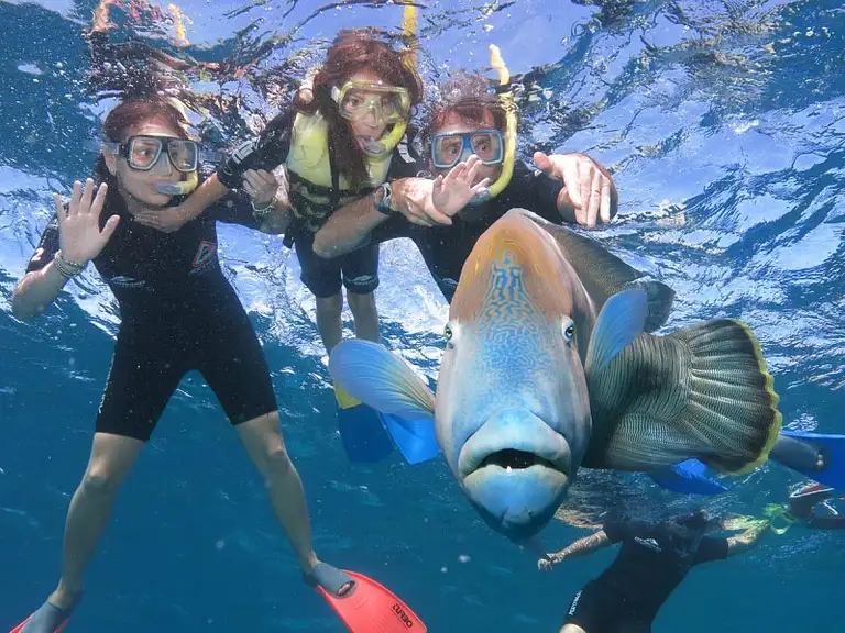 Green Island Eco Tour with Seawalker
