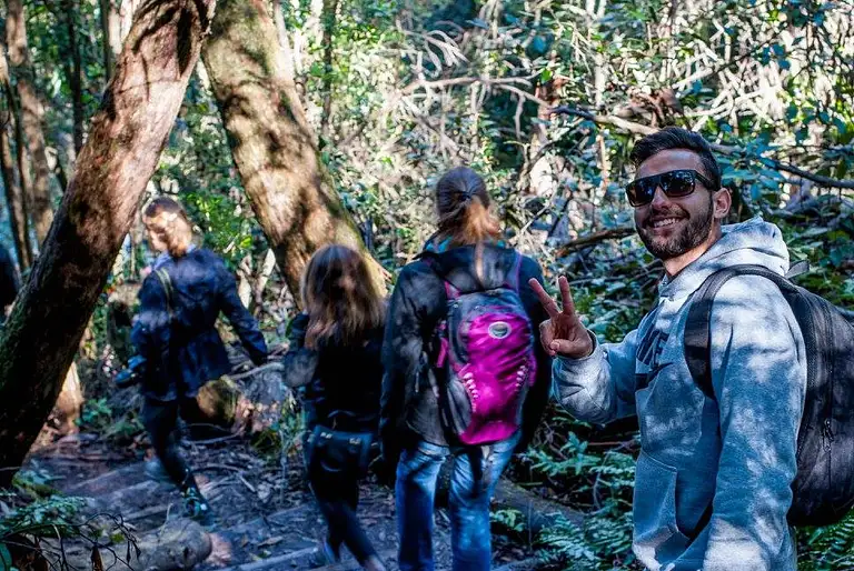 blue mountains nature and wildlife experience