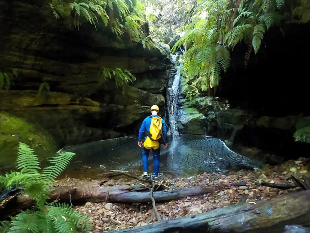 Canyoning blue mountains deal