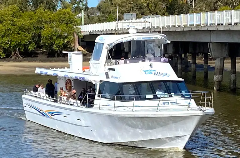 mooloolaba whale watching cruise