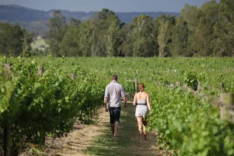Hunter Valley Wine Tasting Helicopter Flight