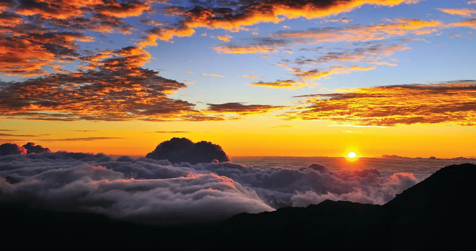 Haleakala Sunrise Tour with Breakfast