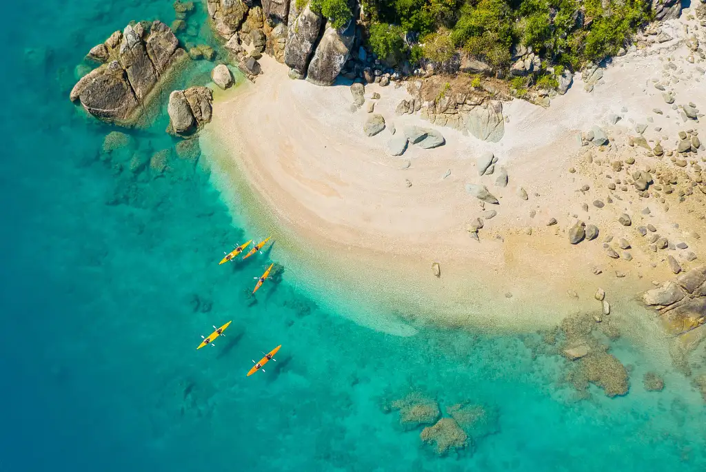 Half Day Whitsundays Inner Island Turtle Kayaking Tour