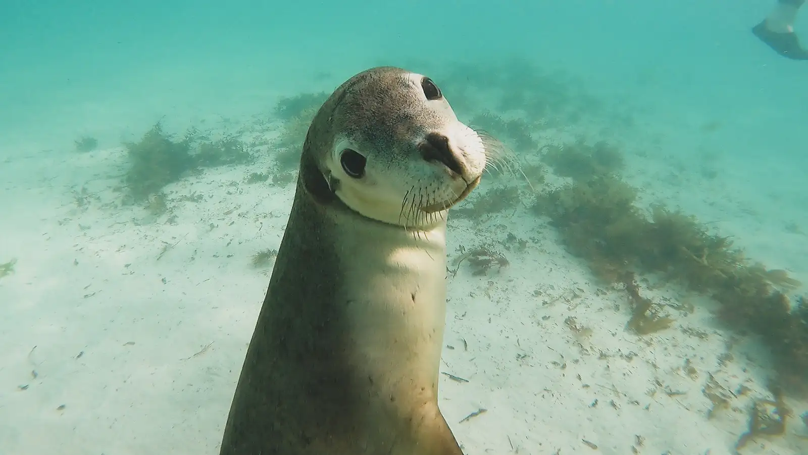 Tours in Western Australia