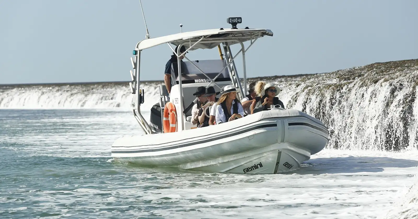 Sea safari deals