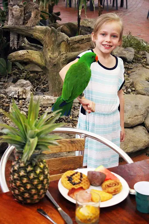 little-girl-holds-parrot-at-breakfast-with-the-birds-port-douglas-683x1024.jpg