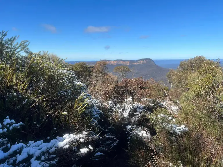 blue mountains tours