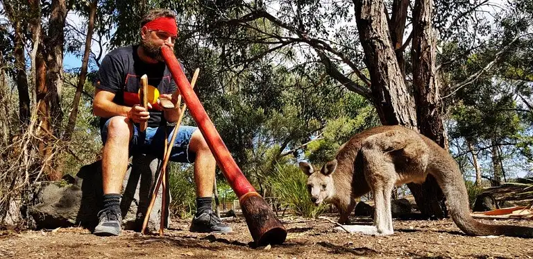 mornington peninsula tours