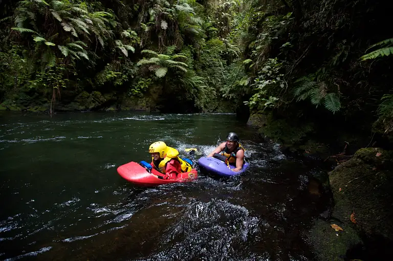 Kaitiaki Sledge Lower