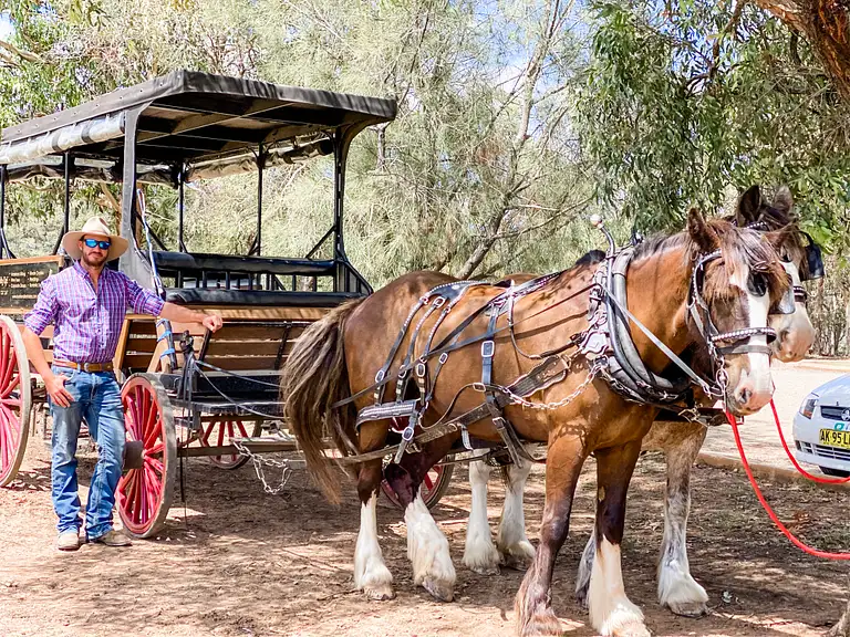 hunter valley wine tours