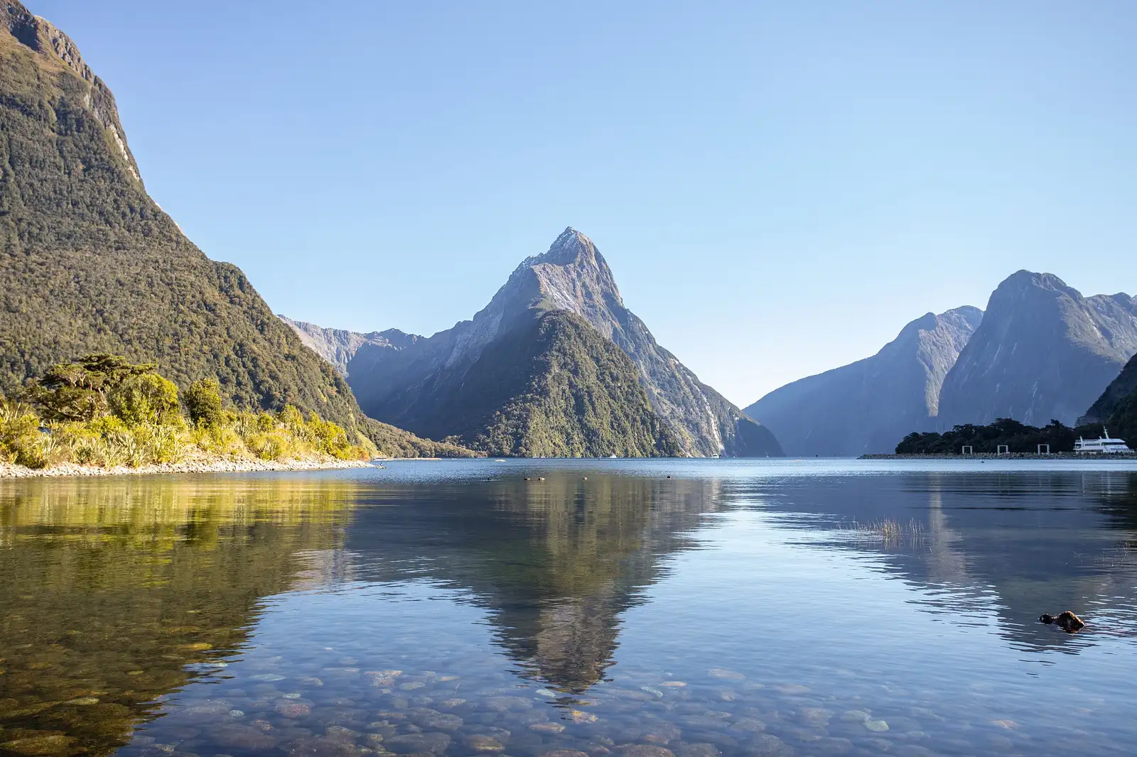 Luxury Milford Sound Tour from Queenstown