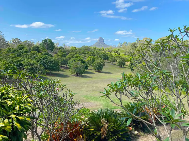 Australia zoo and glass house mountains tour