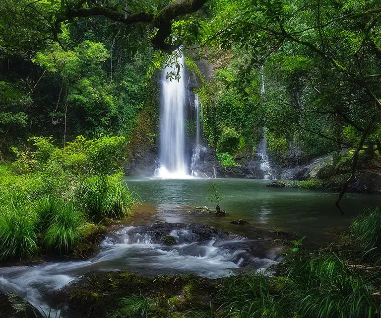 Cassowary Falls tour