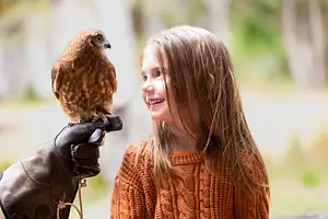 Capes Raptor Centre: Encounters and Birds of Prey Forest Walk