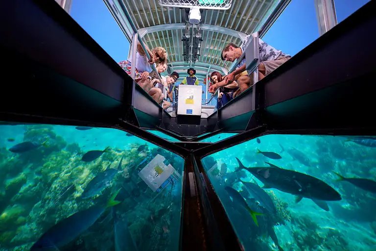 Green Island Snorkelling Tour