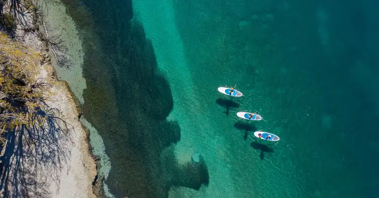 Wanaka Kayak/Paddleboard & Cruise from Ruby Island Discount