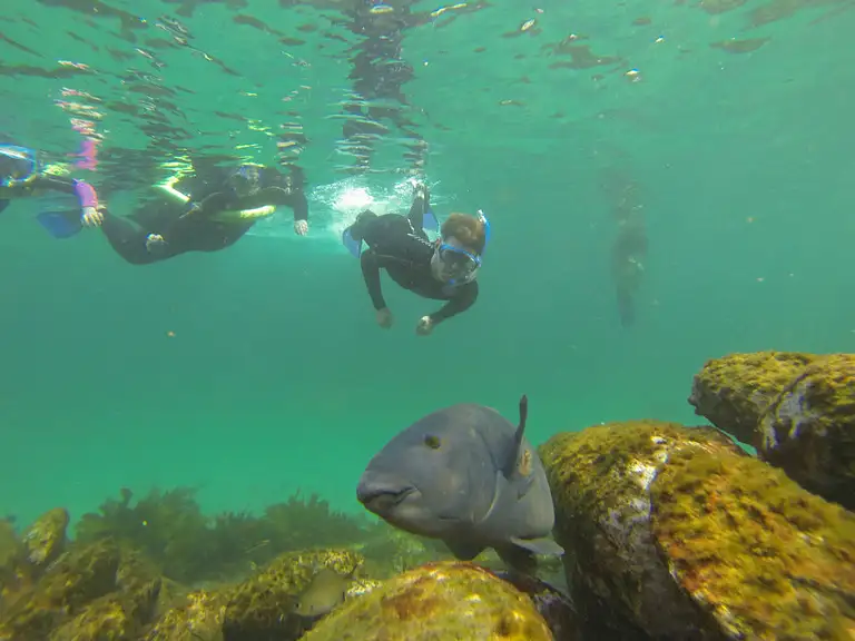 Manly-Beach-snorkel-tour