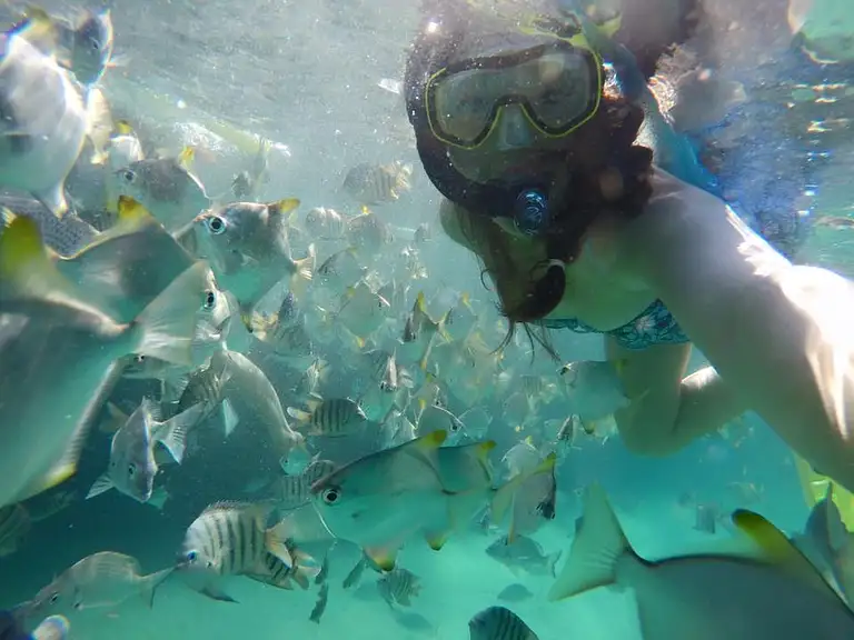 Tangalooma Snorkeling