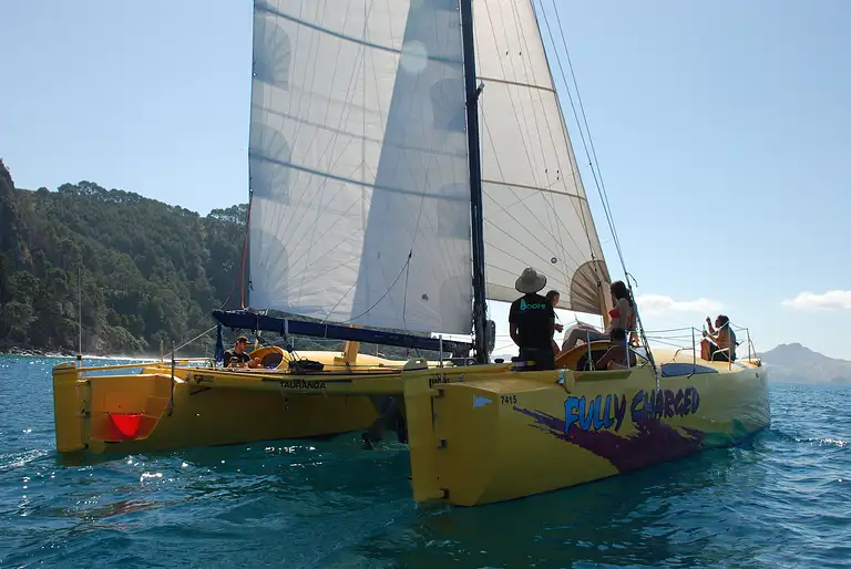 Arvo of Goodness Chilled-out Coromandel Sail Deals