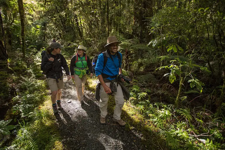 Milford Track walk from Te Anau