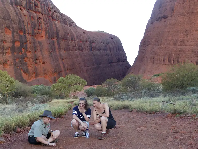 Kata Tjuta Domes Tour Deals