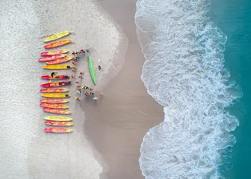 Byron Bay Kayak with the Dolphins Tour | Guided Ocean Adventure