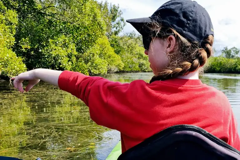 Kayaking Through the Noosa Everglades