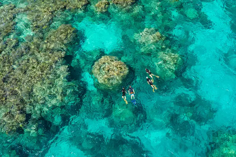 Outer Great Barrier Reef Snorkel Tour