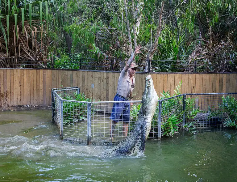 Hartley's Crocodile Adventure
